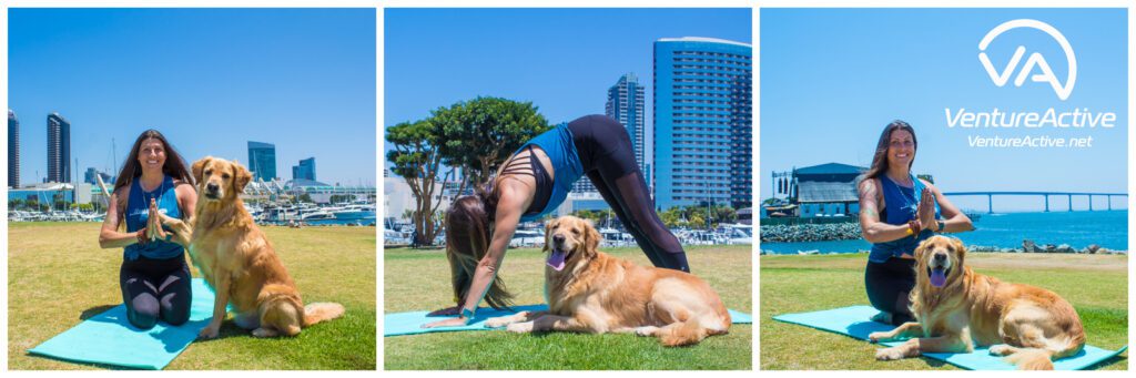 Doggo Yoga In San Diego