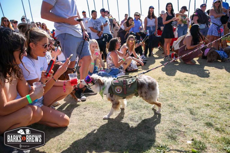 Dog Events 2024 San Diego