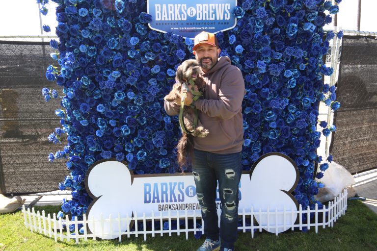 Barks Flower wall March 2023