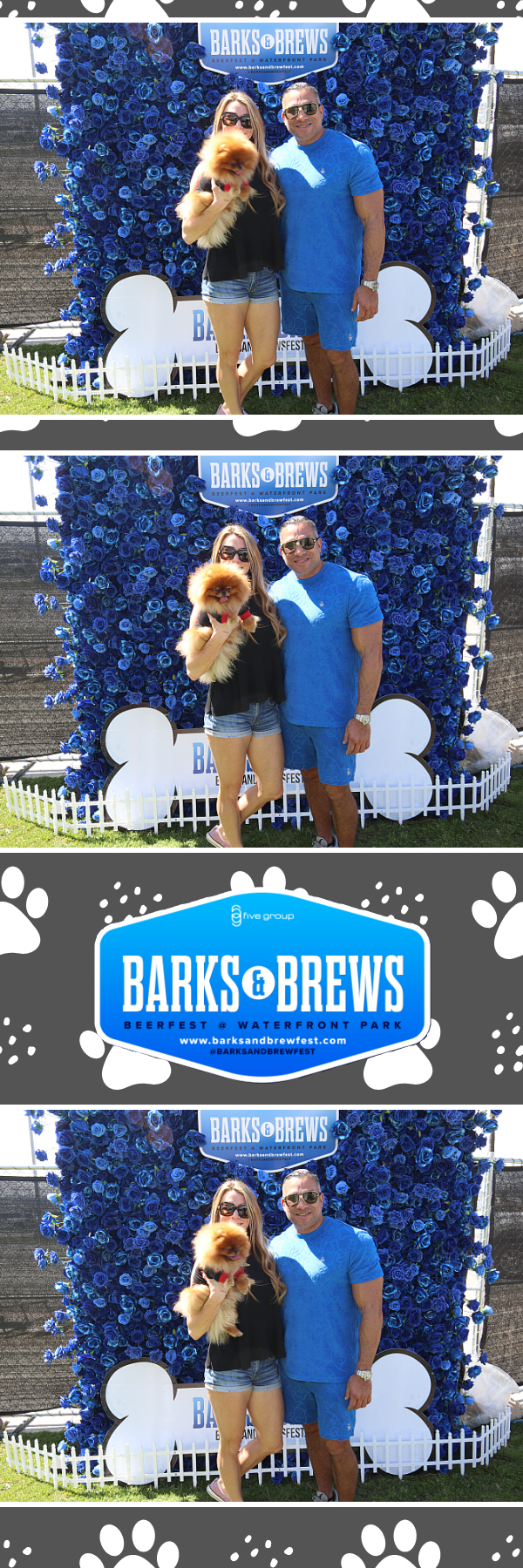 Barks Flower wall March 2023